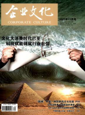 国内刊号