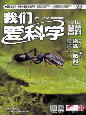 中长篇连载